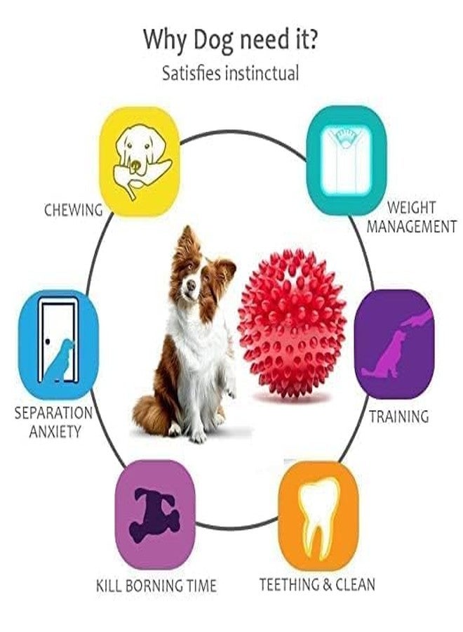 PET FUN Natural Rubber Spiked Dog Ball 2.8" | Bouncy Chew Toy for Puppies & Small-Medium Dogs|Pack of 4 - Image 4